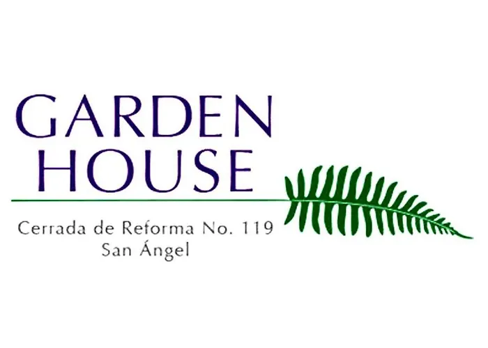 4a, Terraza, Garden House, Welcome To San Angel Mexico City