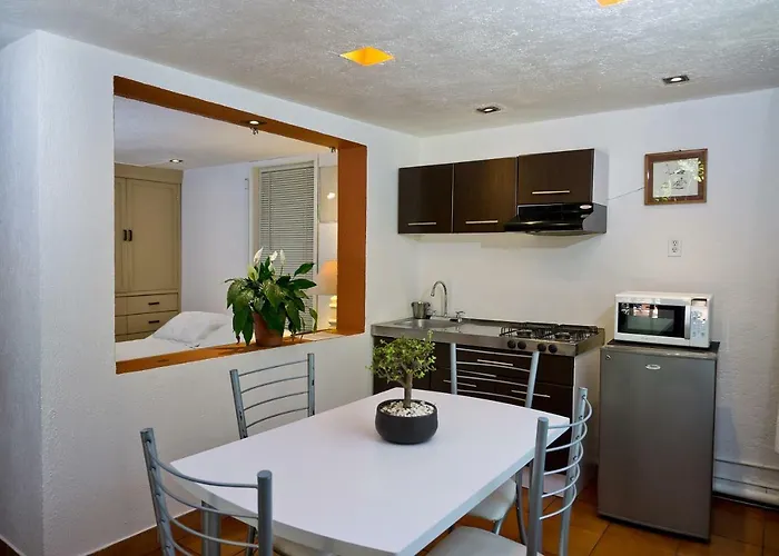 4a, Terraza, Garden House, Welcome To San Angel * Mexico City