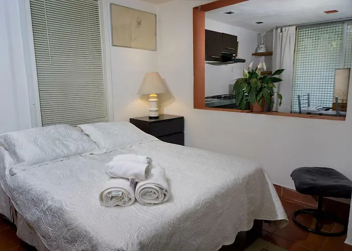 Apartment 4a, Terraza, Garden House, Welcome To San Angel Mexico City