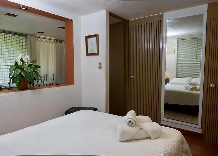 Apartment 4a, Terraza, Garden House, Welcome To San Angel Mexico City
