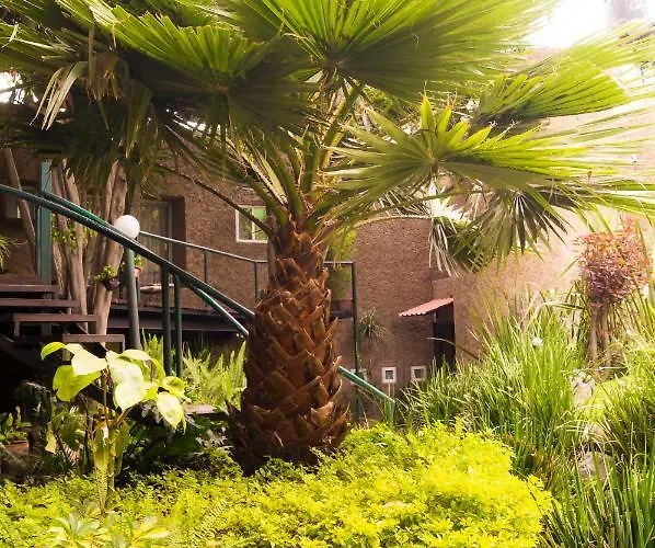 4a, Terraza, Garden House, Welcome To San Angel * Mexico City