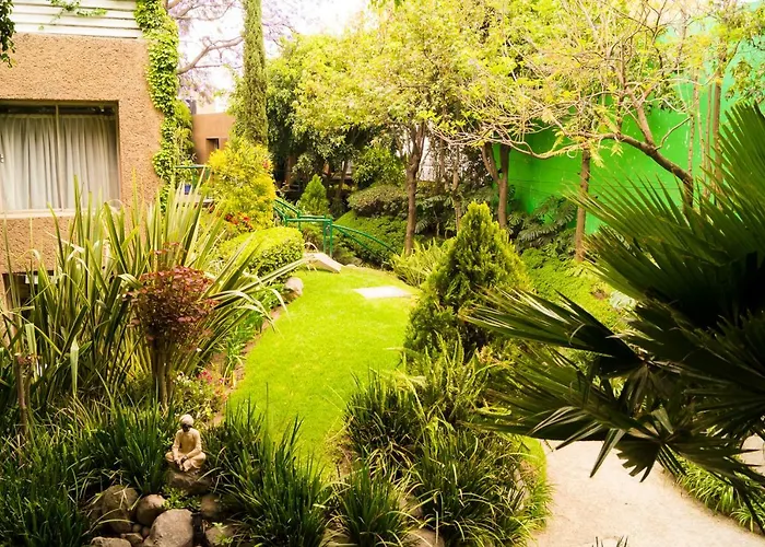 4a, Terraza, Garden House, Welcome To San Angel Apartment *