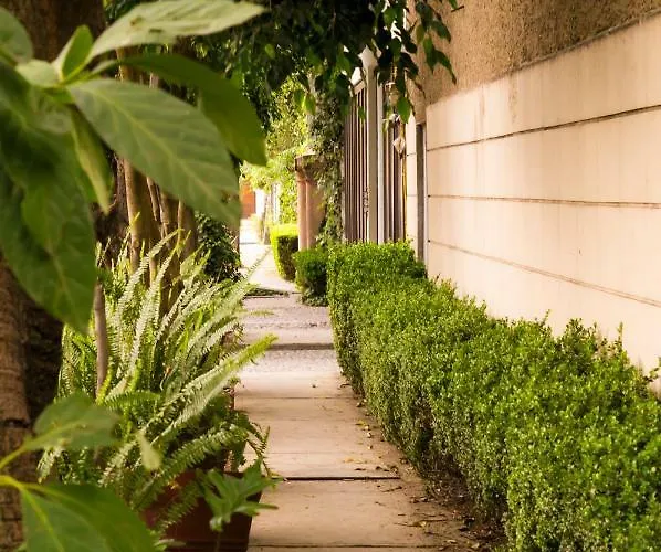 4a, Terraza, Garden House, Welcome To San Angel *
