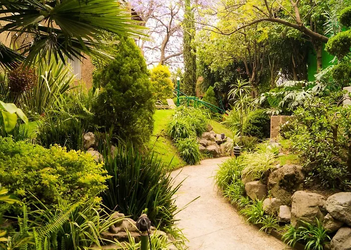 4a, Terraza, Garden House, Welcome To San Angel Apartment *